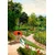 Castorland Puzzle Art Collection: Red Umbrella 500 kosov