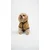 Paws & Whiskers Odelo za pse Teddy, Krem