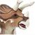 Safari Triceratops z oklepom