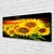 tulup.si Slika na platnu Sončnica flower rastlin 120x60 cm
