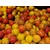 Hrana za krape Carp Attract Activator 500ml Ribe in raki