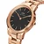 Ročna ura Daniel Wellington Link DW00100212 Zlata