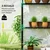 Homestar Toplar 143x74x190 cm Bela