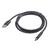 Gembird Kabl USB 2.0 AM na USB Type-C dužine 1.8m | CCP-USB2-AMCM-6