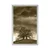 Plakat sepia samotna drevesa - 30x45 silver