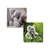 Charlie Bears Charlie Bears, Komplet dveh plišastih igrač iz serij Bear&Me in Cuddle Cubs, SLON – idealno za dojenčke in otroke