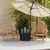 Vidaxl Stol 2 Kos Rjava 65 x 60 x 76,5 cm Trden tikov les