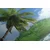 Slika čudovita plaža na Sejšelih - 200x100