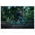 Skiro Yedoo RunRun Arni Black