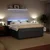 Vidaxl Box spring postelja z vzmetnico temno siva 200x200 cm žamet