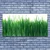 tulup.si Slika na platnu Grass nature rastlin 140x70 cm