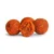 Euro Boilies 16mm/1kg Scopex beljakovinske kroglice
