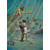 Ardalen