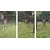Rebel Modularni kavez ogradica za pse Animals RA-1206, 80x60 cm, Crni