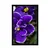 Plakat vijolica - 60x90 no frame