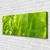 tulup.si Slika na platnu Grass pikapolonica narava 120x60 cm