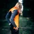 Fusion S1 Run Vest