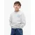 TOMMY HILFIGER Majica modra/pegasto siva