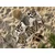 Hitrosušeča plažna brisača LEOPARD SRCA rjavo-bela 70 x 140 cm, 100% mikrotkanina