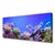 tulup.si Slika na platnu Barrier reef narava 125x50 cm