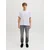 JJ Rebel by Jack & Jones farmerke Adam za muškarce, sive, 29/32