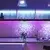 SET 2x LED RGB dekorativna svetiljka FESTA 3xAAA/4,5V + daljinski upravljač