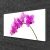 tulup.si Slika na platnu Orchid cvet orhideje 100x50 cm