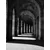 Venture Design Poster Walkway 30x40 cm Bež