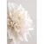 Slika beli cvetni listi - 40x60