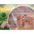 TREFL Brick Trick Travel - Piramida