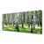 tulup.si Slika na platnu Forest grass nature rastlin 125x50 cm