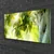 tulup.si Slika na steklu Apple tree branch narava 120x60 cm 2 obešalnika