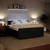 vidaXL Box spring postelja z vzmetnico črna 180x200 cm žamet