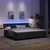 vidaXL LED Box Spring Postelja z vzglavjem Črna 200 x 200 cm Žamet