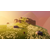 Arise: A Simple Story - Definitive Edition (SWITCH)