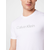 Calvin Klein Majica, bijela / siva