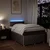 Vidaxl Box spring postelja z vzmetnico taupe 120x200 cm blago