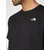 THE NORTH FACE Majica Evolution Simple Dome črna