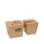 Bongo lesen Goldon 10710