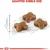 Royal Canin Cat Kitten Second Age 2 KG