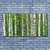 tulup.si Slika na platnu Narava rastlin forest trees 125x50 cm