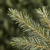 Novogodišnja jelka PVC Frosted Indiana Spruce 210cm
