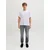 JJ Rebel by Jack & Jones farmerke Adam za muškarce, sive, 31/30