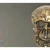 Livetastic Stenska Dekoracija Skull