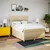 vidaXL vidaXL Box spring postelja z vzmetnico krem 140x190 cm blago, (21309083)