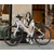 MS ENERGY eBike c30