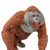 Safari Orangutan