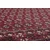 eoshop Preproga Marakeš 351 rdeča (Varianta: 300x400 cm)