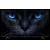 Televizor TCL 65P8L/QLED-Mini LED/65/4K UHD/144Hz/Google TV/crna