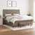 Vidaxl Box spring postelja z vzmetnico taupe 180x200 cm blago